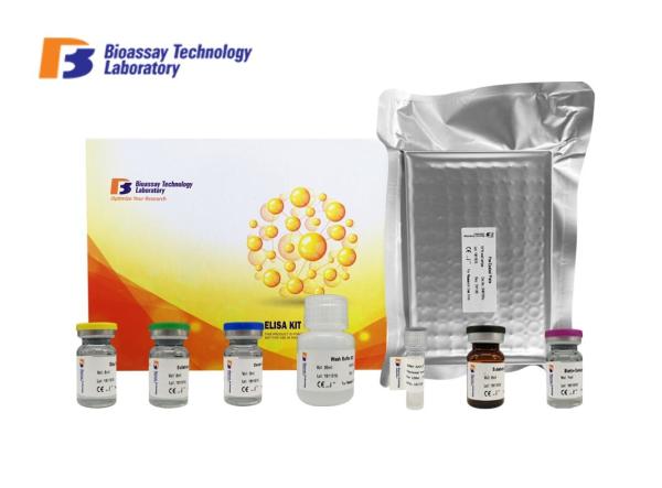 Customized Canine ELISA Kits Glutathione Peroxidase 1 96 Well Plate 0.56ng/Ml