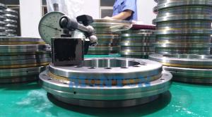 Quality YRTS460 460*600*70mm Rotary Table Bearing wholesale