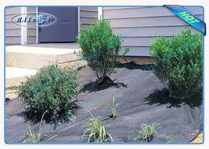 Quality Small Rolls Anti-UV Biodegradable Landscape Fabric , Landscape Ground Cover wholesale