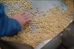 Low Noise Breakfast Cereal Corn Flakes Production Line