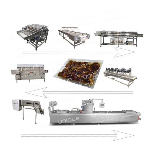 Stainless Steel 304 Dates Processing Line for Washing and Drying of Dates