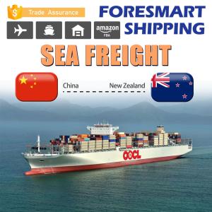Quality Door To Door Oceania Shipping , Sea Freight China To NZ wholesale