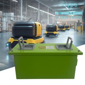 Quality Joypo 48V Cold Storage Warehousing And Logistics Vehicle li ion Battery Packs wholesale