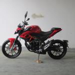 TR250-U3 CDI Ignition 250CC Naked Sport Motorcycle
