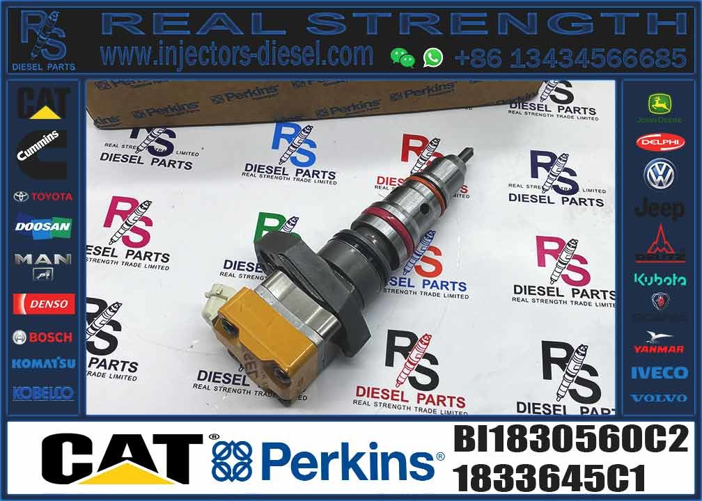 Diesel Injector Parts BI1830560C1 BI1830560C2 AP63813BN CE1829926C1 BC1824919C2