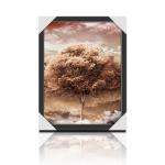 3D Flip Lenticular Poster Printing With 12x17 Inches Four Season Tree