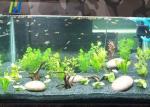 Transparent Fish Tank Tempered Safety Glass High Borosilicate Glass