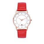 Trendy Design Stainless Steel Wrist Watch With Quartz Movement , Vintage Ladies