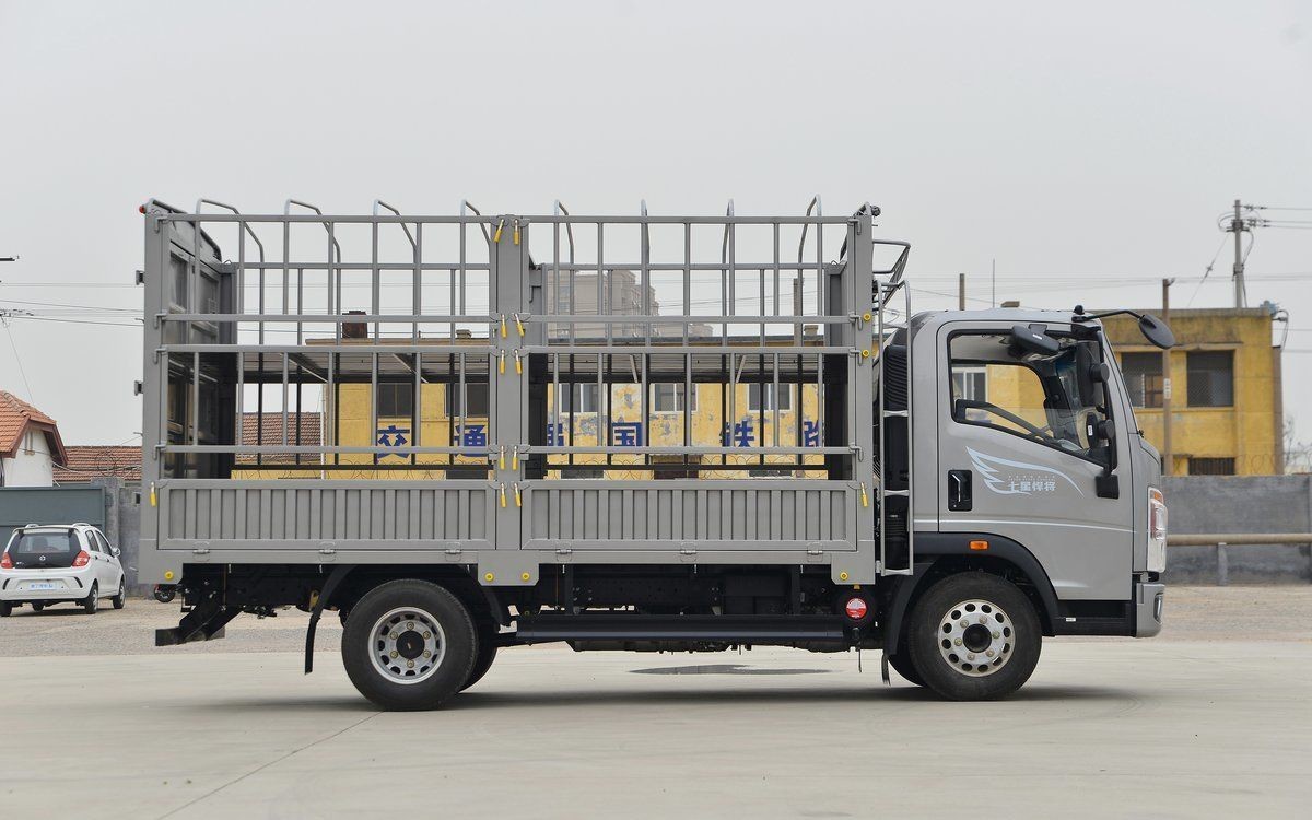 HOWO Hummer H 140HP 4.15M Diesel Fuel Light Cargo Truck 95KM/H