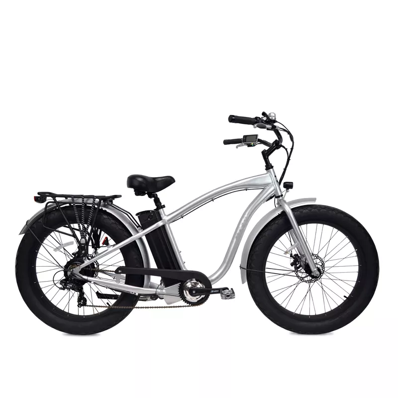 Electric Beach Cruiser Bike with Customized Multicolored 750W Hub Motor and Fat Tires