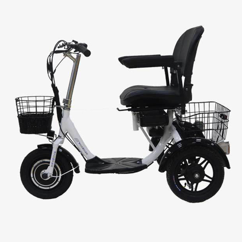 48V 300W Motor Power 12 Inch Electric Tricycle 3 Wheel Electric Bike for Adult Cargo