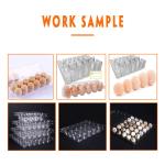 120mm Pasture Egg Tray Making Machine Servo Motor Vacuum Forming Equipment