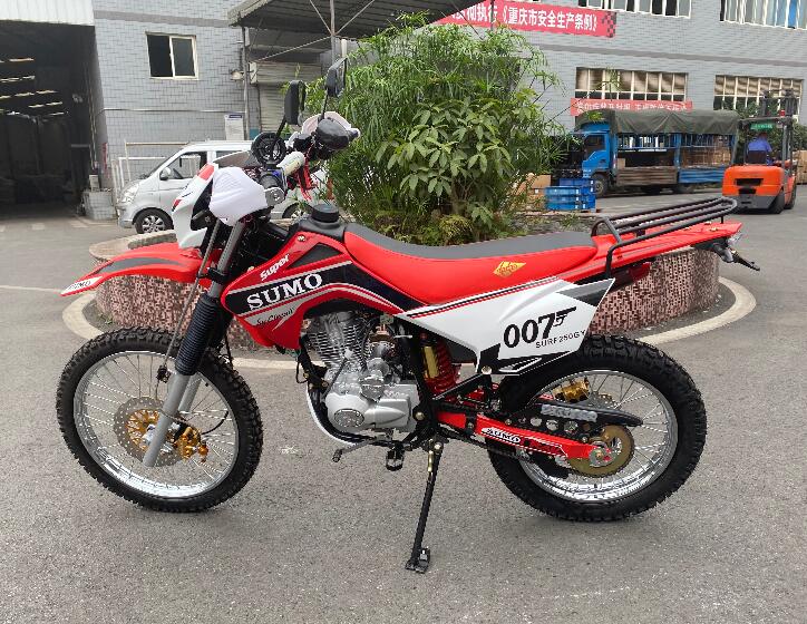2022 New Model wholesale powerful 200CC ZS Tekken motorcycle Bolivia Bross CBR motorbike dirt bike 250 off road motorcy