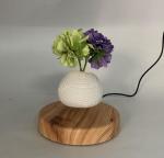 Hotsale magnetic levitation flying air bonsai plant tree flowerpot planters PA