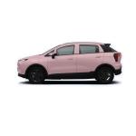 Geely Geometry E SUV Electric Car 550km 5 Door 5 Seat Electric For Families