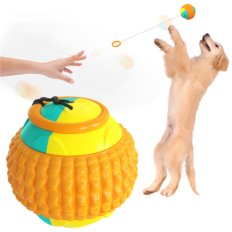 Suction Cup Push Elastic Ropes Pet Tooth Cleaning Chewing Playing Puppy Cats Indestructible Dog Toy