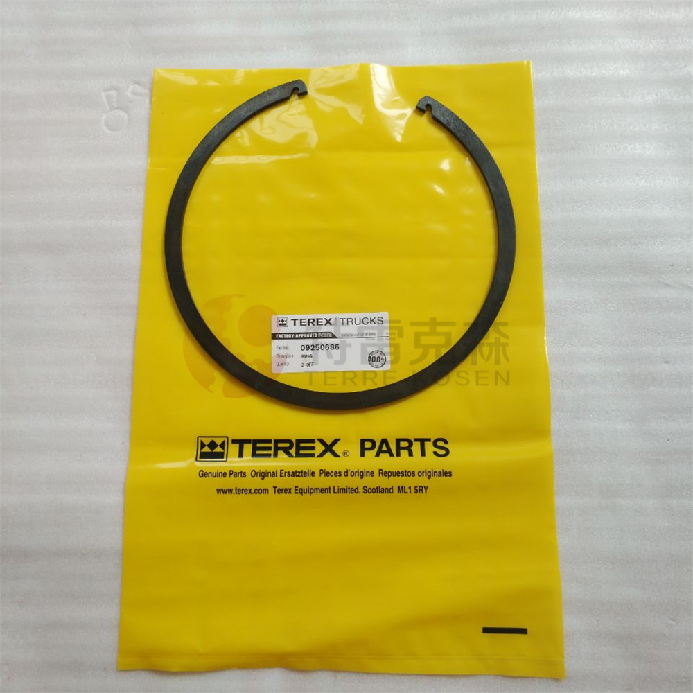 TEREX 9250686 SNAP RING for terex tr35 parts made in China NHL