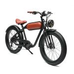 Long Range 48V 750W Rear Hub Motor Electric Motorbike with 48V 20Ah Lithium