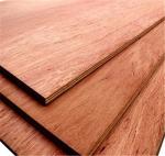 Calophyllum Grains 1220×2440×18mm Red Plywood