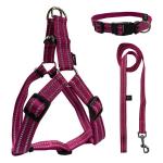 Personalized Buckle Waterproof Dog Leash
