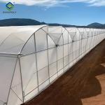 Steel Pipe Structure Gothic Roof Greenhouse Agricultural High Performance