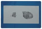 G039 BTZY-I Footprint sample collection ink pad