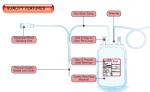 Single Double EO Medical Blood Bag Disposable Hospital Use