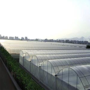 Quality Climate Adjustable Plastic Film Greenhouse Heat Resisting Anti Freezing Moisture Proof wholesale