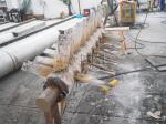 Recycling Pp Pe Film Washing System SS304 Plastic Friction Washer