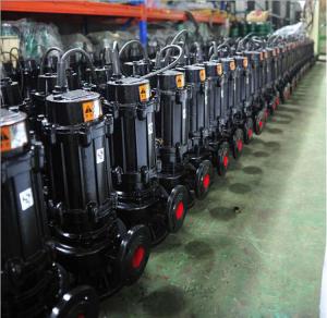 Quality HT200 Grey Cast Iron Sewage Pump High Pressure Copper Wire Motor Custom Color wholesale