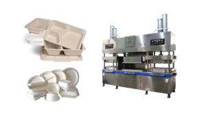 Quality ISO9001 PLC Control Paper Pulp Molding Machinery 1 Year Warranty wholesale
