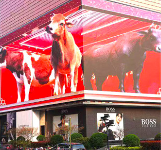 Flexible Ads Outdoor Led Display Screen For Building P10 P6.67