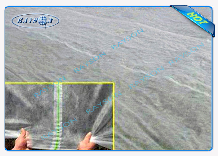 Anti UV PP Spunbond Non Woven Landscape Fabric For Agriculture Plant Cover