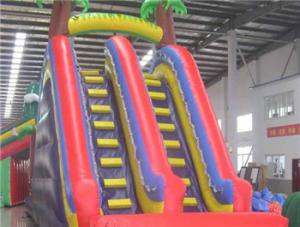 Quality hot selling giant inflatable water slide wholesale