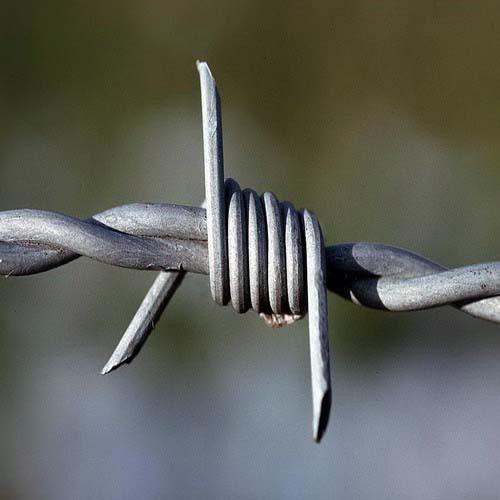 Barbed Wire 2 Strands 4 Points Eco-friendly African Double Twist Razor Wire