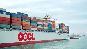 Quality International Walmart Shipping From Shanghai Ningbo Xiamen Foshan Lingyi Qingdao Lianyungang wholesale
