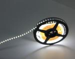 RGB Dimmable 3528 Smd Led Strip Light , 5 Year Warranty