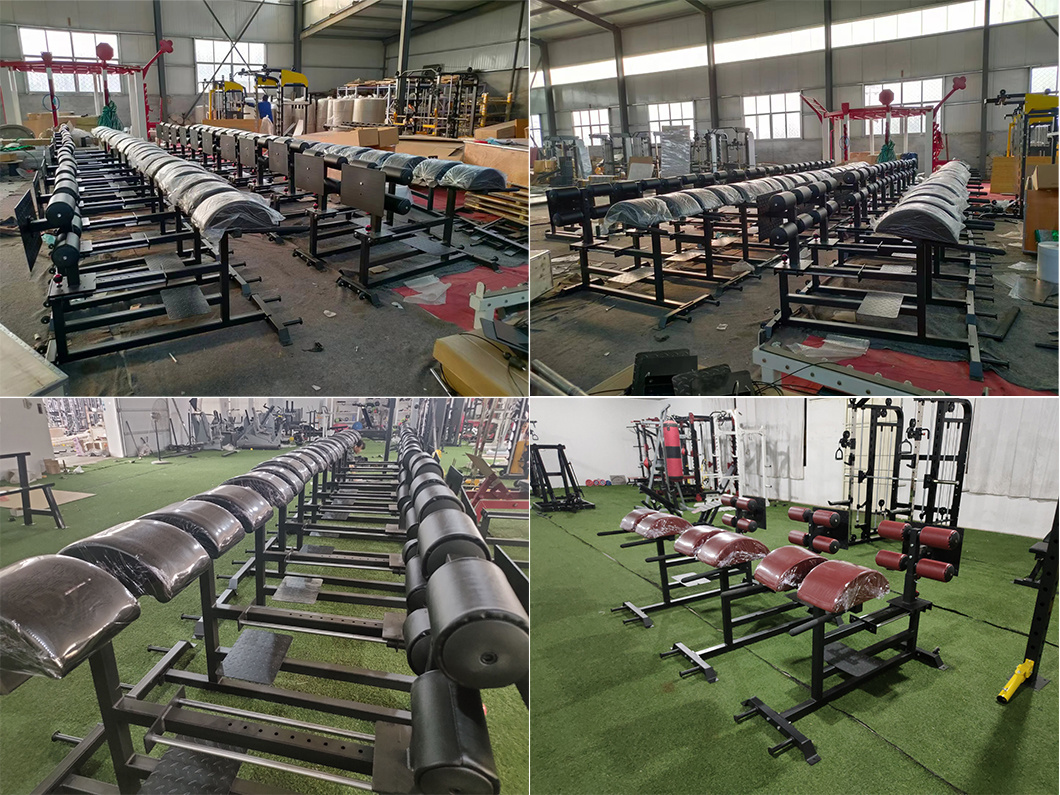 Factory Direct Sales Back Hyperextension GHD Glute Ham Developer Roman Chair