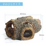 Landscape Trunk Fish Aquarium Ornaments
