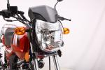 Comfortable Custom Street Motorcycles Powerful Engine For Business Or Family