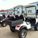 2 Seater Electric Golf Cart Hopper Outdoor Car With Cargo Transporting Hunter