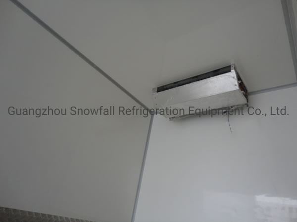 Freezer Unit for Big Truck Cooler Unit