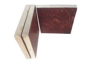 Quality No Deformation Poplar Core Pine Faced Plywood Weather Resistance wholesale