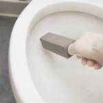 Toilet pumice brush PUMICE cleaner handle toilet brush