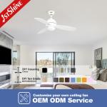 Remote Control Modern Led Ceiling Fans 40 Inches Dc Motor 3 Plywood Blades