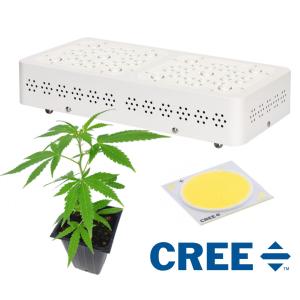 Quality Commercial Vegetable Led Grow Lights Used In Cannabis Chamber 50/60Hz wholesale
