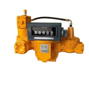 China High-Quality Bernet Band LPG Flowmeter for Accurate Measurements on sale