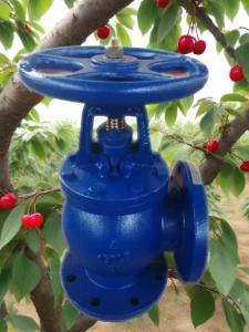 Quality ANSI angle valve wholesale