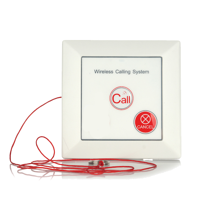 Siren Light Wall Fixing Screws Mounted Panic Security Alarm System