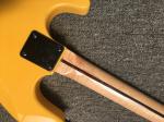 Eddie Van Halen TRIBUTE Electric Guitar